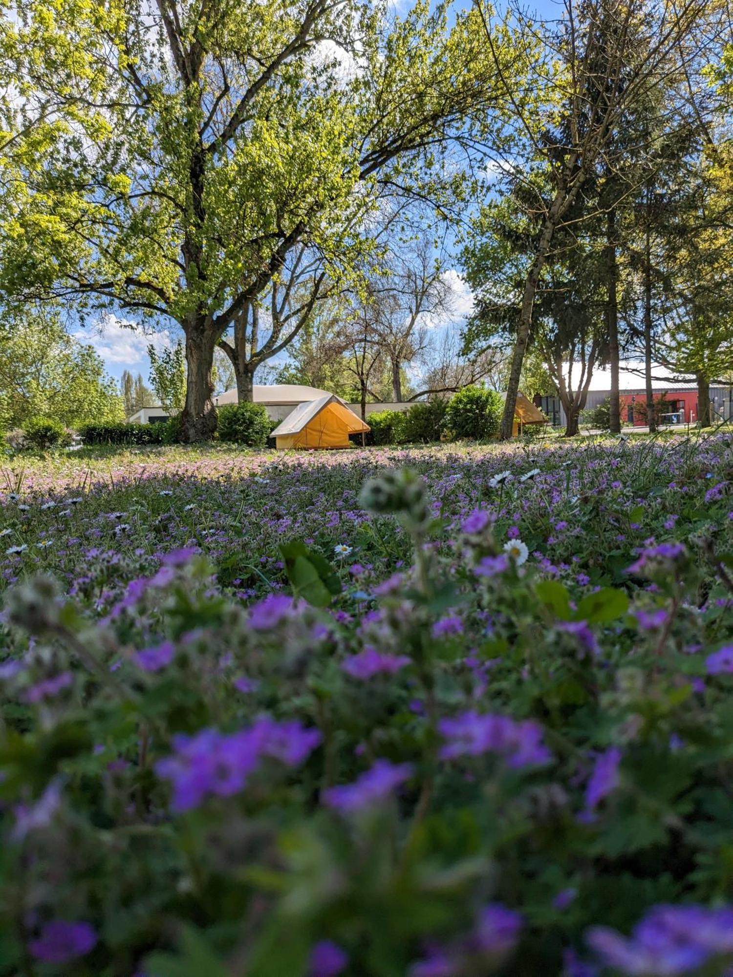 Camping Onlycamp Tours Val De Loire แซงต์-อแวร์แตง ภายนอก รูปภาพ